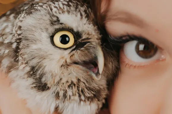 Casino AllStar Slots Soporte